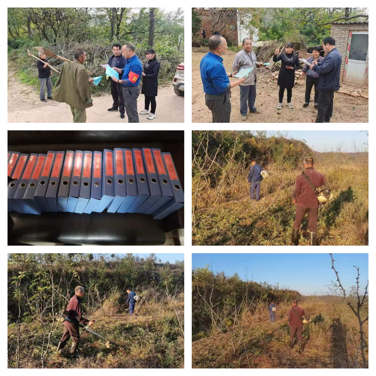 141668396917577768.jpeg 下載.jpg